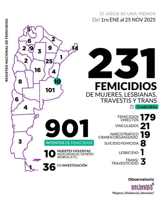 231 femicidios en Argentina en lo que va de 2025