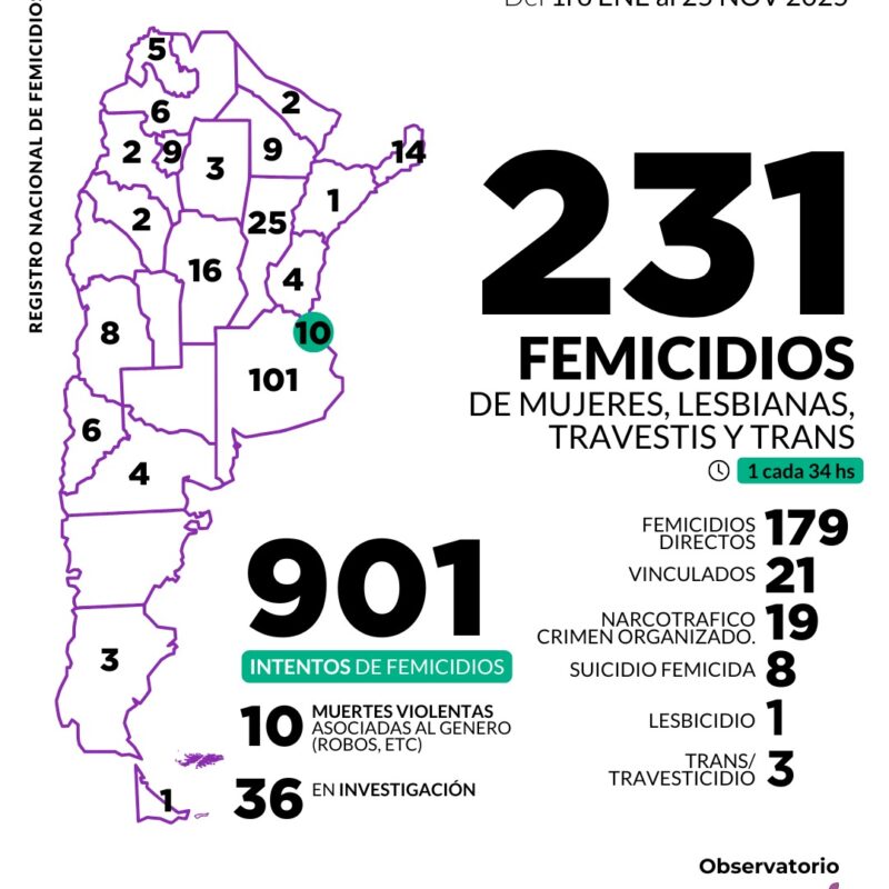 231 femicidios en Argentina en lo que va de 2025