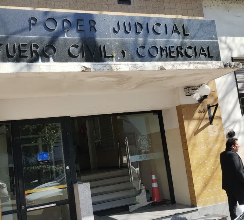 Quilmes: vecinos llevaron a la justicia la disputa por la poda de un árbol