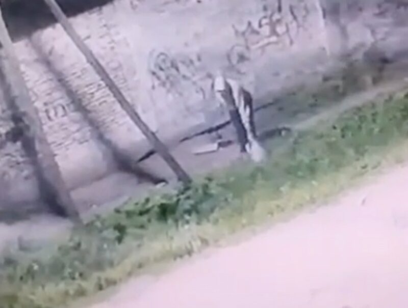 Buscan a los responsables del abandono del bebé en una zanja de Solano