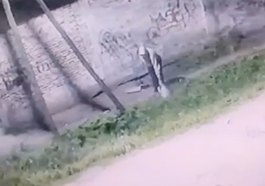 Buscan a los responsables del abandono del bebé en una zanja de Solano