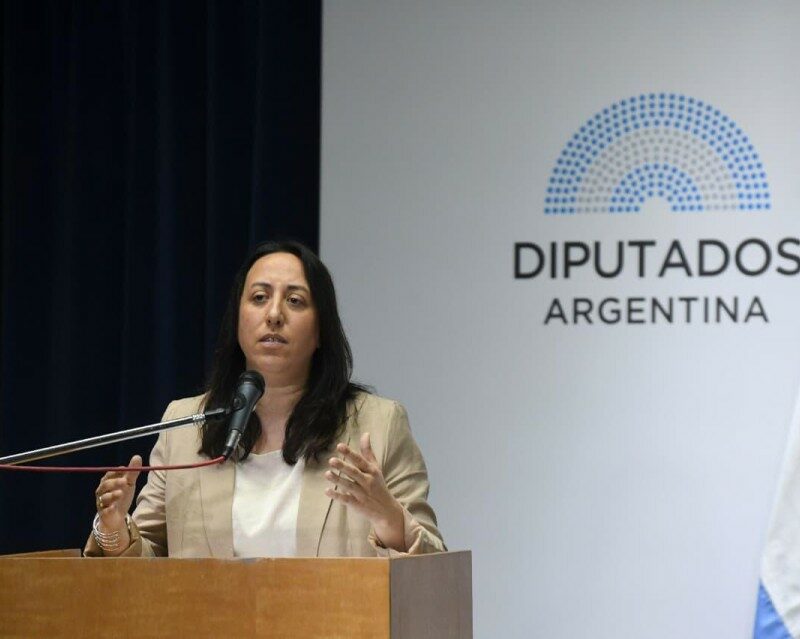 María Sotolano llevó al Congreso el proyecto de ley `Sintientes´