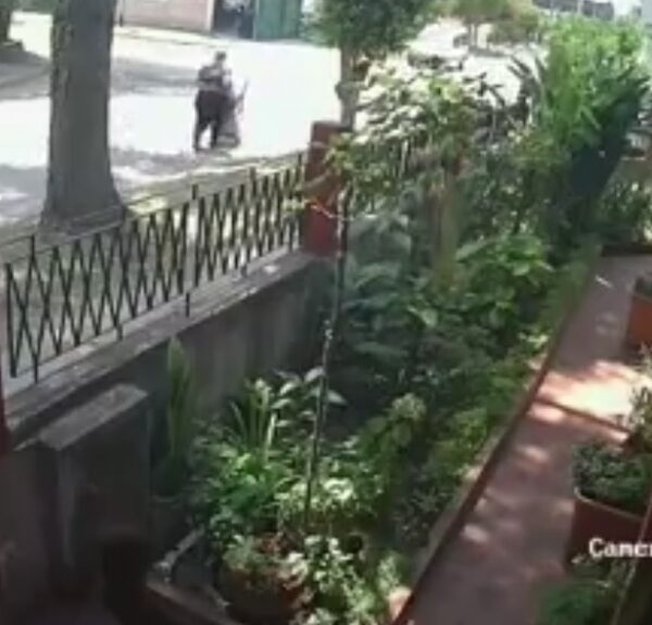 Milagro en Solano: una mujer sobrevivió tras un violento choque y ser impactada por un auto