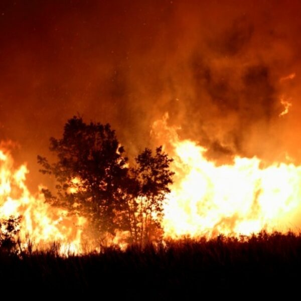 Tras dos meses de incendios, ahora el Gobierno declaró la emergencia ígnea en cuatro provincias por incendios en la Patagonia