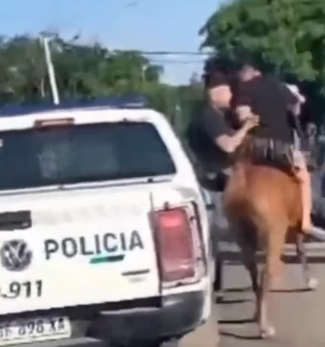 Detienen a menores que robaban a caballo cerca de la Villa El Monte, los animales fueron rescatados y se recuperan