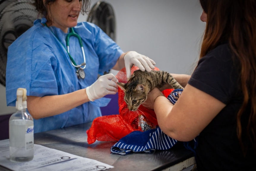 Alerta por intentos de estafa con supuestos operativos de Zoonosis en Quilmes