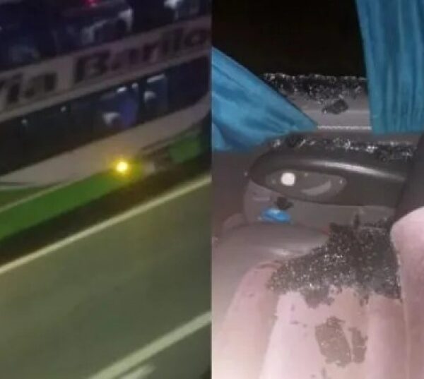 Tiraron piedrazos a un micro que iba a la Costa Atlántica por la autopista Buenos Aires-La Plata