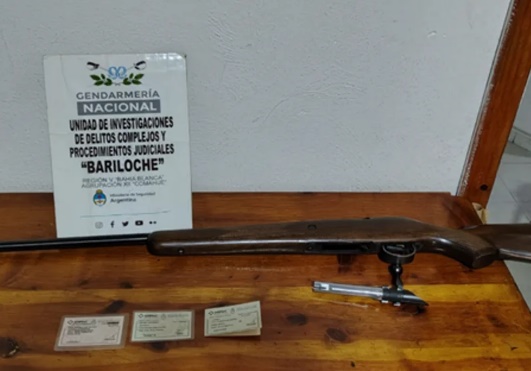 Faenaron un guanaco en el Nahuel Huapí y deberán pagar $6 millones