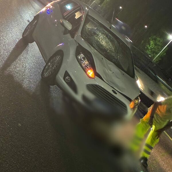 Berazategui: intentó cruzar la Autopista Buenos Aires-La Plata y murió atropellado