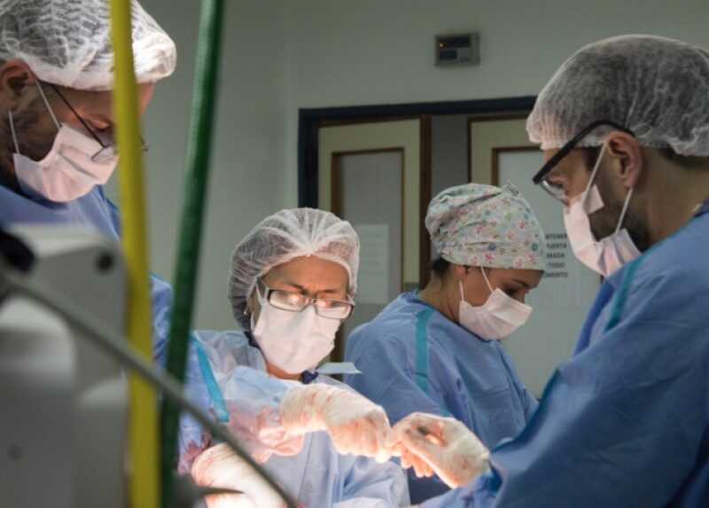 La provincia de Buenos Aires tuvo un rol central en el récord histórico de donación de órganos en 2025