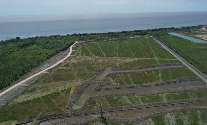 La Corte frenó un emprendimiento sobre un humedal en Berazategui