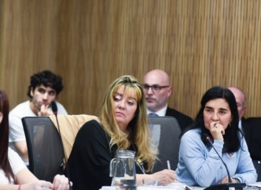 Las Madres del Dolor expondrán en Diputados en el debate por la elevación de penas por siniestros agravados