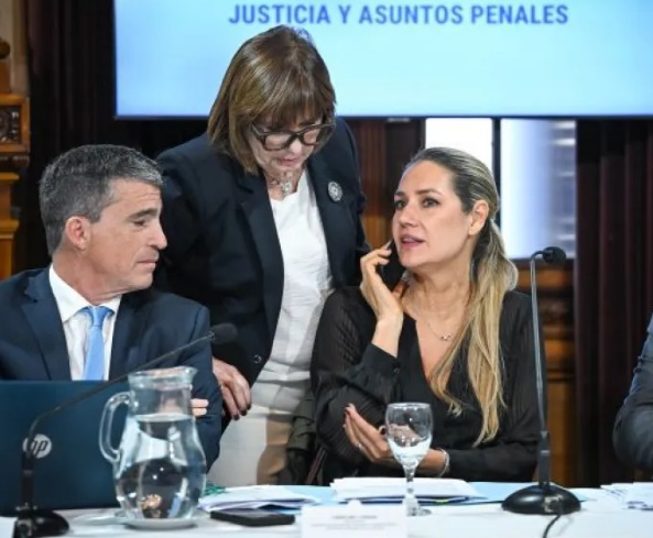 Luz verde al proyecto Regularización de Armas de Fuego