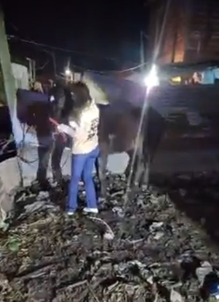 Quilmes: violento allanamiento en Villa Luján para rescatar caballos que sufrían maltrato animal