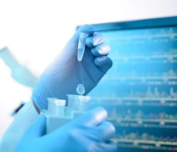 El Senado sancionó la creación de un registro genético para identificar cadáveres NN