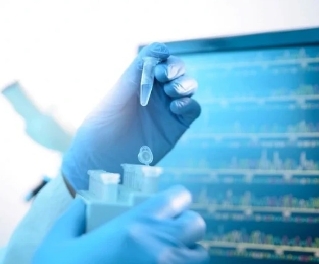 El Senado sancionó la creación de un registro genético para identificar cadáveres NN