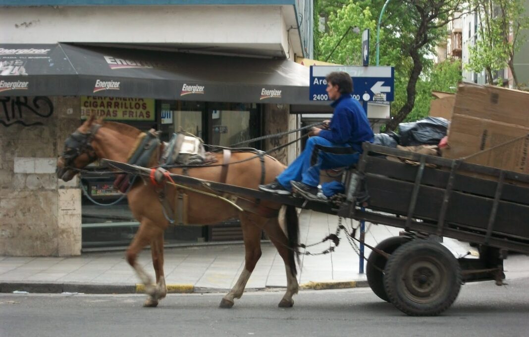 Buscan prohibir por ley la tracción a sangre en toda la provincia de Buenos Aires