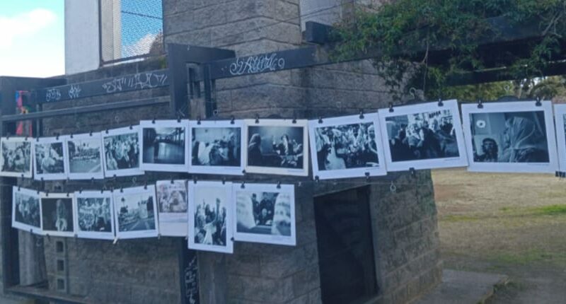 Ranelagh: vecinos participaron de una jornada cultural y exposición en homenaje a las Madres de Plaza de Mayo