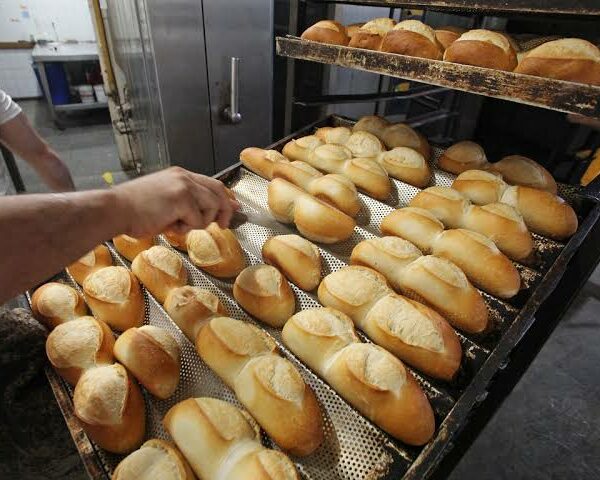 Panaderos bonaerenses denuncian una “caída libre” en el sector